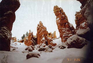 Bryce Canyon 1991 -- Adam