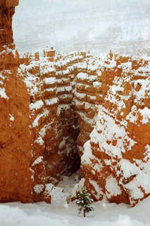 Bryce Canyon 1991 -- Adam