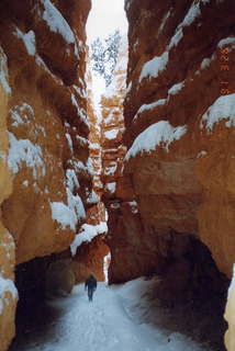Bryce Canyon 1991