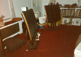 Quad ESL speakers and Evelyn - (cat)