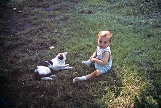 Philip E. Rosenberg slides -- alligator