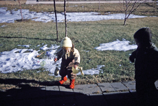 Philip E. Rosenberg slides --