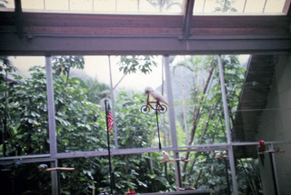 Philip E. Rosenberg slides -- Hawaii