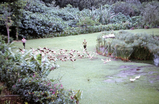 Philip E. Rosenberg slides -- Hawaii