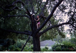 Adam and Betsy in a tree