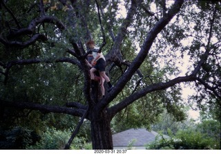 Adam and Betsy in a tree