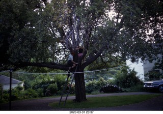 Adam and Betsy in a tree