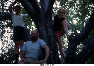 Adam and Philip and Betsy in a tree