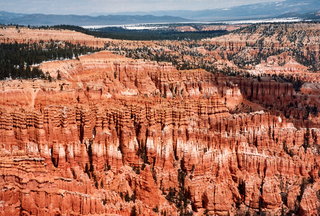 Piper Cub at Colts Neck (N61)