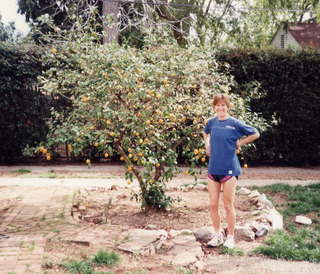 Shore AC XC 1992