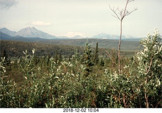 Alaska trip - Mount Denali in the far distance