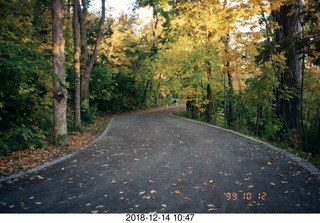 95 106. Montreal autumn road