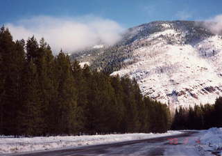 Glacier National Park roadway with trees