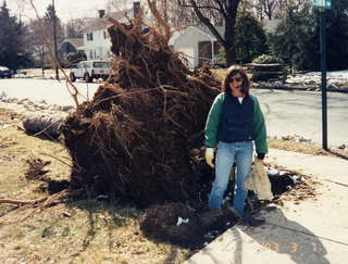 Sally Wright and uprooted tree