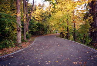 111 1c1. Autumn road in Montreal