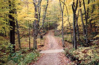 WARR, another Gatineau trail
