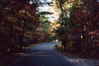 Road at IIT