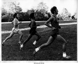 Princeton XC - Bert