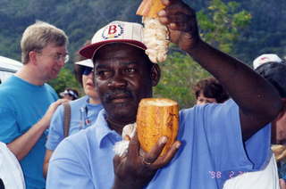 native chocolate in Guateloupe