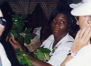 Plants in Guadeloupe