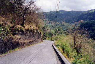 Mountain road in Guadeloupe
