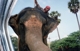 Satish Satish wedding Geeta wedding in Madras, India - elephant and rider