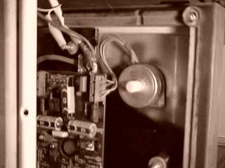 Triathlon Olympic Trials 2000