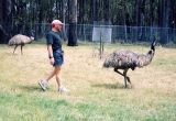 Adelaide, Adam and emu