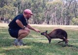 Adelaide, Adam and kangaroo (cute)