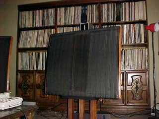 Quad and Jack - (cat)