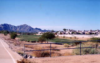 Ducks on the lake in Scottsdale