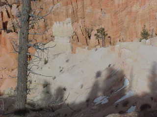 Bryce Canyon white rock amidst red
