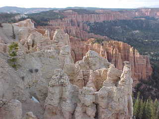 Bryce Canyon, white hoodoos