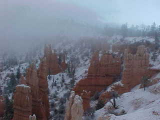 Bryce Canyon snowy hoodoos 13