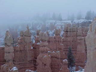 Bryce Canyon snowy hoodoos 5 (A)