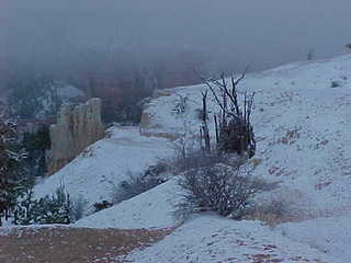 Bryce Canyon snowy trail