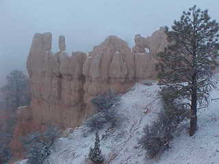 Bryce Canyon snowy hoodoos 10