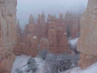 Bryce Canyon snowy hoodoos 11