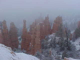 Bryce Canyon snowy hoodoos 12