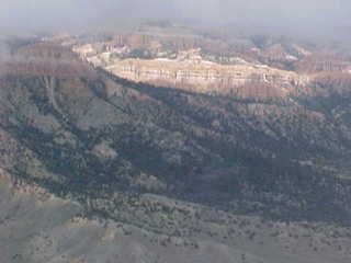 Bryce Canyon trees