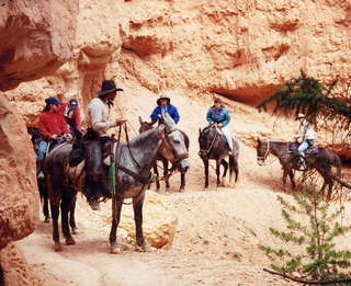 Bryce Canyon Wall Street 2 (B)