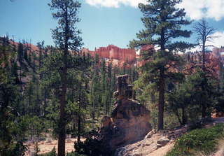 Bryce Canyon hoodoos 8 combination picture