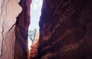Bryce Canyon hoodoos 9 combination picture (B)