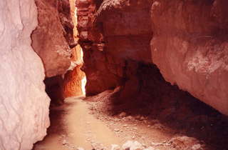 Bryce Canyon hoodoos and  view