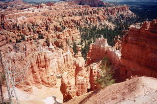 Bryce Canyon hoodoos wall of rock
