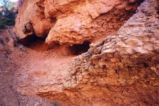 Bryce Canyon red rocks