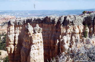 Bryce Canyon long dead tree (B)