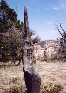 Bryce Canyon trail to view of Boat Mesa