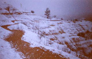 Bryce Canyon tower bridge 2 (A)