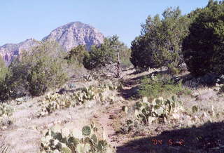 Sedona Airport hike near trail and distant white rocks